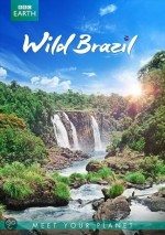 Vahşi Brezilya / Wild Brazil