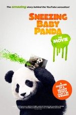 Bebek Panda / Sneezing Baby Panda