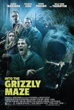 Boz Ayı / Grizzly