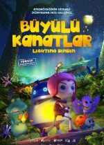 Büyülü Kanatlar / Lighting Dindin