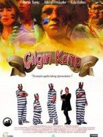 Çılgın Kamp