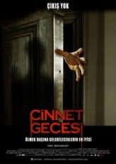 Cinnet Gecesi / The Incident