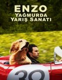 Enzo Yağmurda Yarış Sanatı / The Art of Racing in the Rain