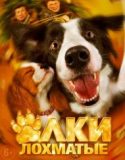 Evde Köpek Başına / Elki lokhmatye