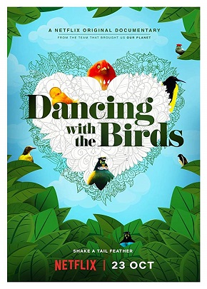 Kuşlarla Dans / Dancing with the Birds